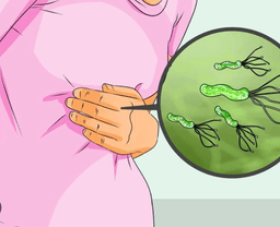Helicobacter Pylori